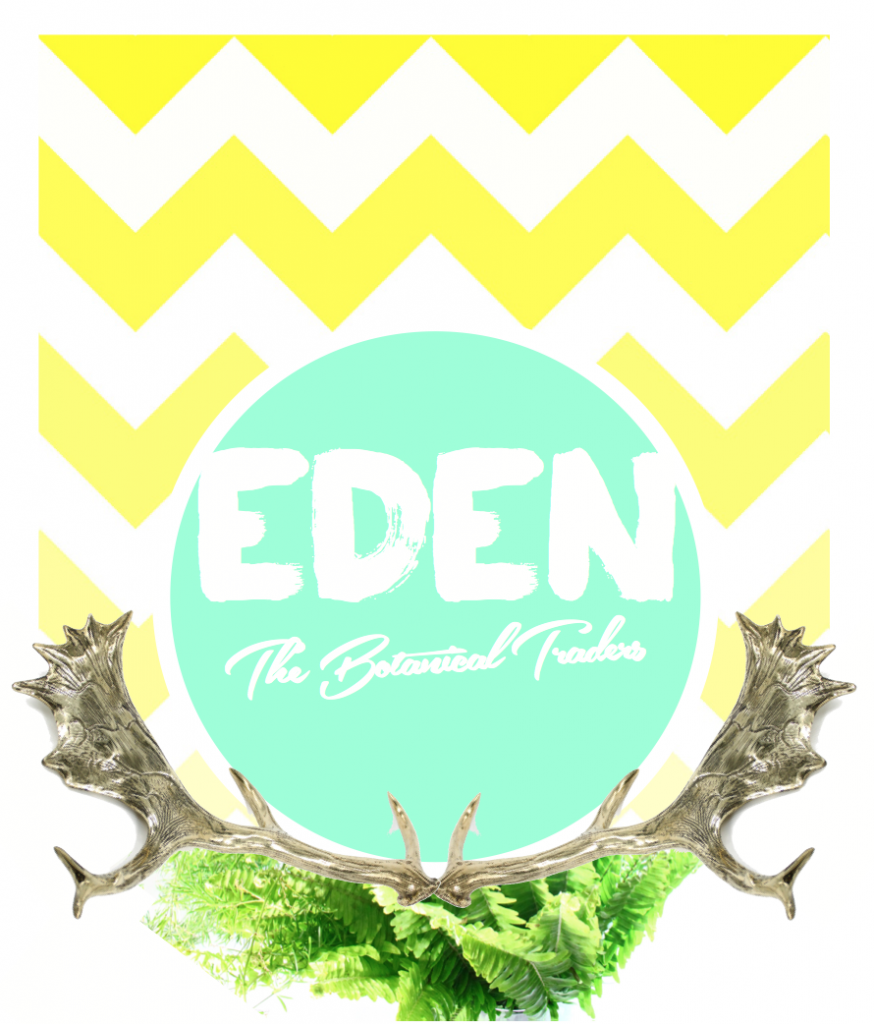 SNEAK PREVIEW: Pop-in to the new pop-up shop at Torquay Central - EDEN, The Botanical Traders